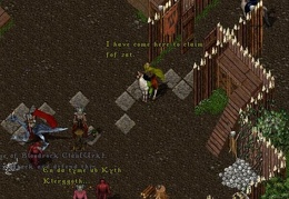 41