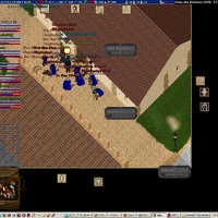 Kinky Afro 5-27 20 12