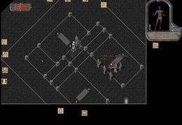 Kinky Afro 11-15 20 18