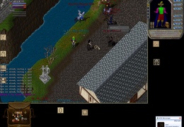 Kinky Afro 12-11 23 24