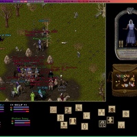 6I6 At Yew Moongate 001